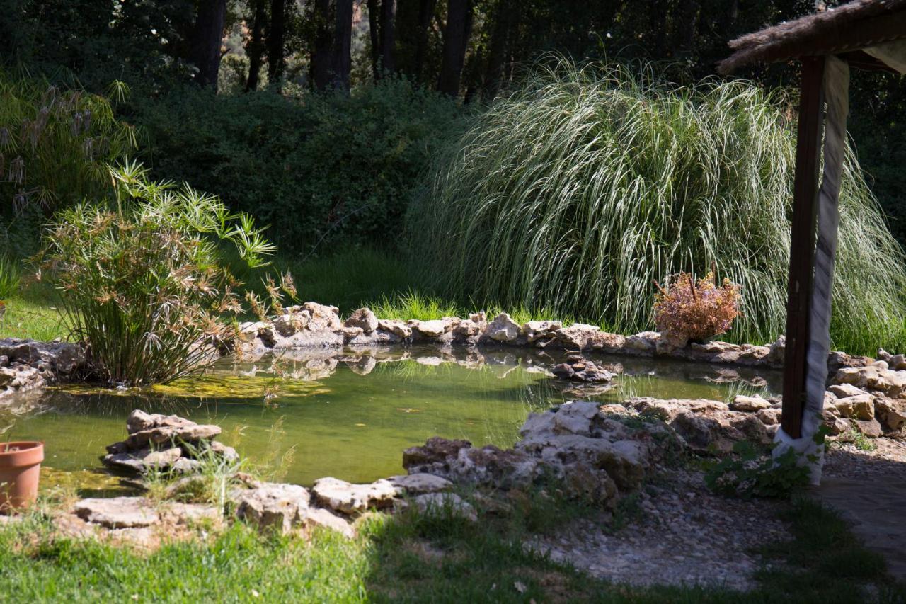 El Venero De Mostoles 孔斯坦蒂纳 外观 照片